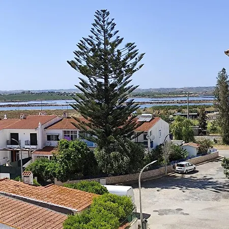 T1 - Estrela Do Mar
