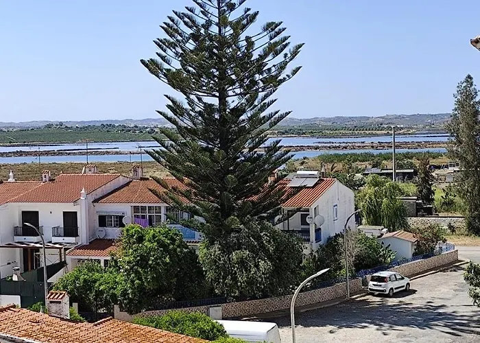 T1 - Estrela Do Mar